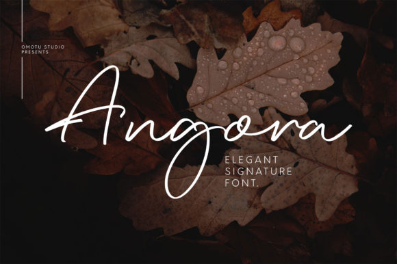 Angora: The Handwritten Signature Font for Authentic Branding