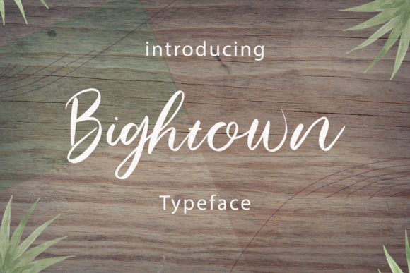 Bightown: The Handwritten Typeface That Elevates Your Campaign Visuals