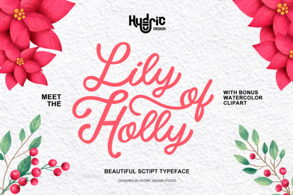 Lily of Holy: A Masterpiece in Script Handwritten Design