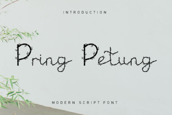 Pring Petung: The Romantic Typeface for Elegant Brand Identity