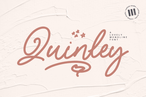 Quinley: The Elegant Handwritten Font for Modern Campaigns