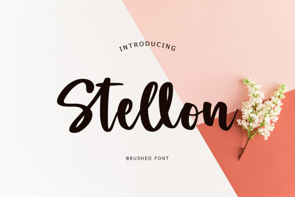 Stellon: A Sweet Script Handwritten Typeface for Elegant Branding